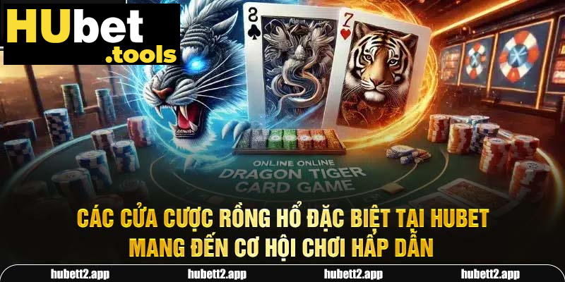Các cửa cược Rồng Hổ đặc biệt tại HUBET mang đến cơ hội chơi hấp dẫn