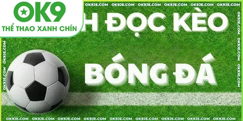 HUBET hướng dẫn cách đọc kèo tỷ lệ bóng đá